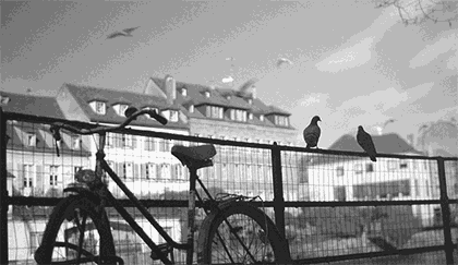 生態(tài)板十大品牌家湘美.gif